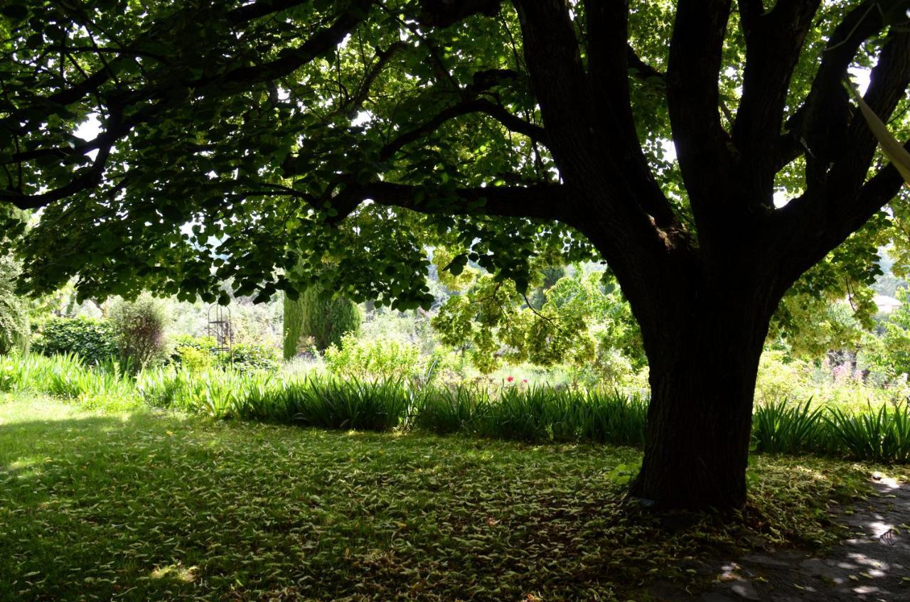Domaine Des Tilleuls D'Or Saint-Cézaire-sur-Siagne Εξωτερικό φωτογραφία