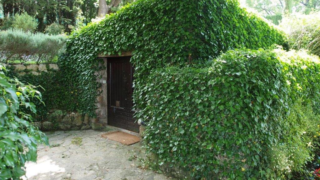 Domaine Des Tilleuls D'Or Saint-Cézaire-sur-Siagne Εξωτερικό φωτογραφία