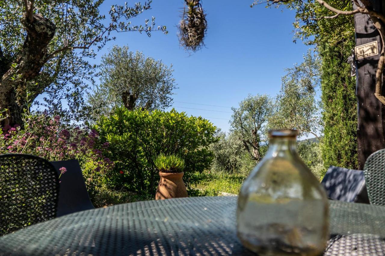 Domaine Des Tilleuls D'Or Saint-Cézaire-sur-Siagne Δωμάτιο φωτογραφία