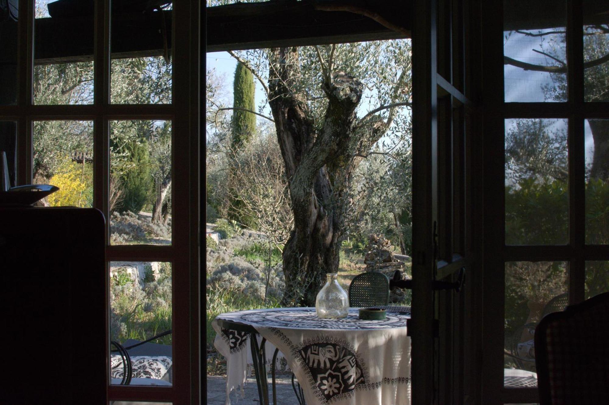 Domaine Des Tilleuls D'Or Saint-Cézaire-sur-Siagne Δωμάτιο φωτογραφία